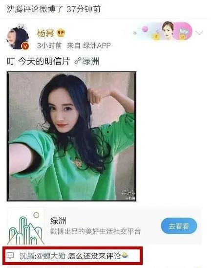 娱乐圈吃瓜手